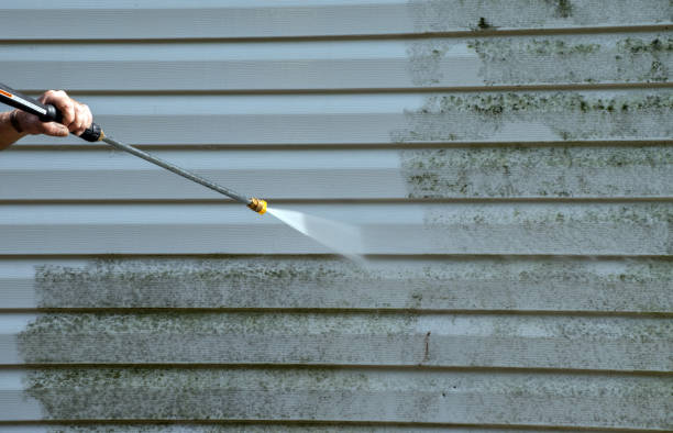 Solar Panel Cleaning in Manila, AR